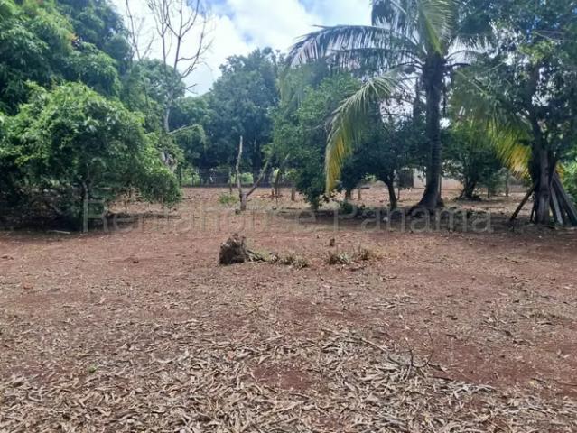 Terreno venta en Lagartillo, El Espinal