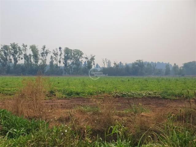 Terreno en arriendo en San Rafael, Provincia de Talca