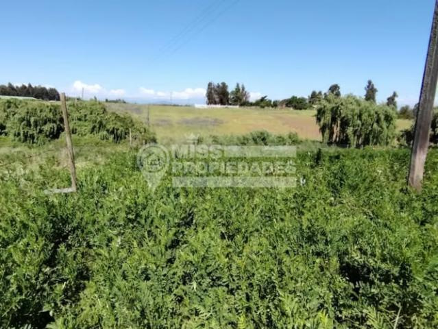 Terreno en venta en Población Los Álamos, Pelarco