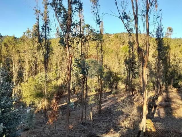 Terreno en venta en Pencahue, Maule