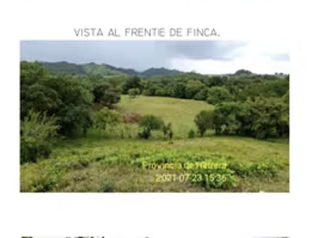 Terreno venta en Pesé