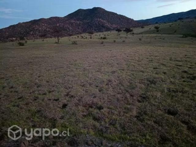 Terreno en venta en Punitaqui, Provincia de Limarí