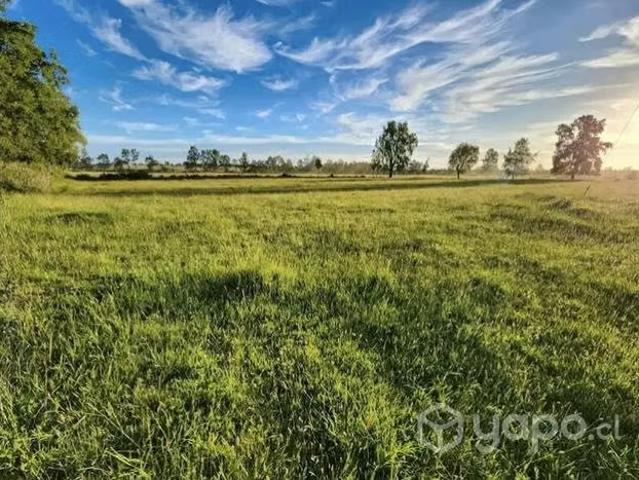 Terreno en venta en Punta Arenas, Provincia de Magallanes