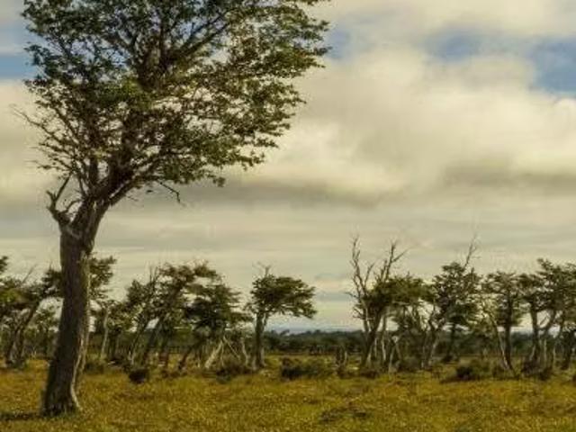 Terreno en venta en Punta Arenas, Provincia de Magallanes