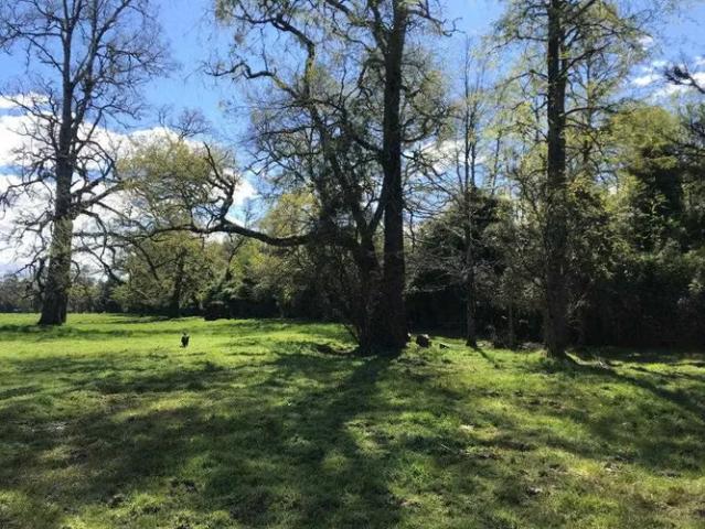 Terreno en venta en Desagüe Rupanco, Puyehue