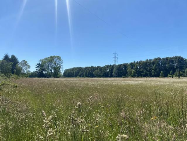 Terreno en venta en Puyehue, Provincia de Osorno