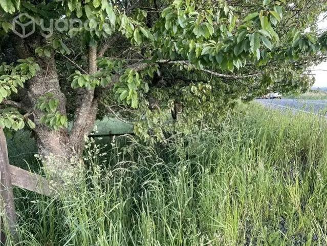 Terreno en venta en Puyehue, Provincia de Osorno
