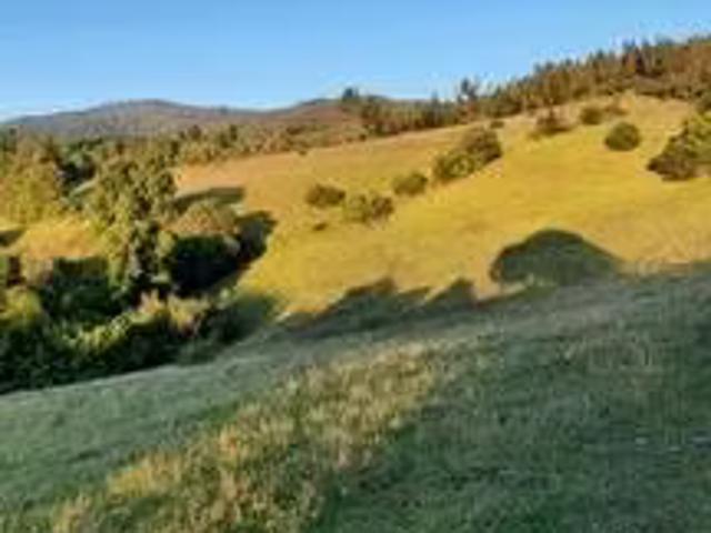 Terreno en venta en Quillón, Provincia de Diguillín
