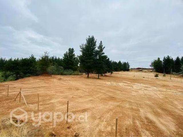 Terreno en venta en Quillón, Provincia de Diguillín