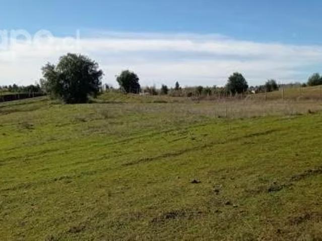Terreno en venta en Quillón, Provincia de Diguillín