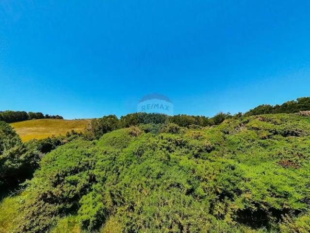 Terreno en venta en Huilque, Quinchao