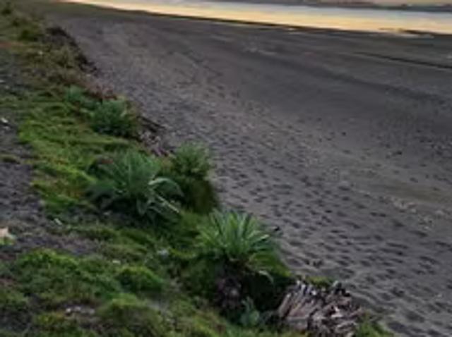 Terreno en venta en Quinchao, Provincia de Chiloé