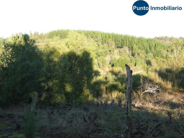 Terreno en venta en San Damián, Quirihue