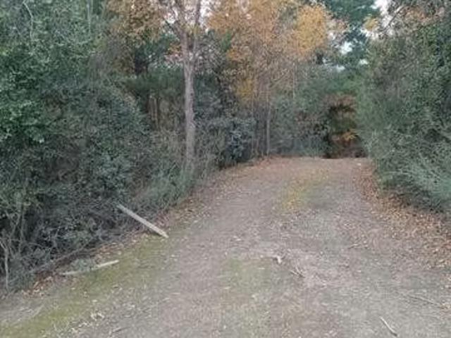 Terreno en venta en Quirihue, Provincia de Itata