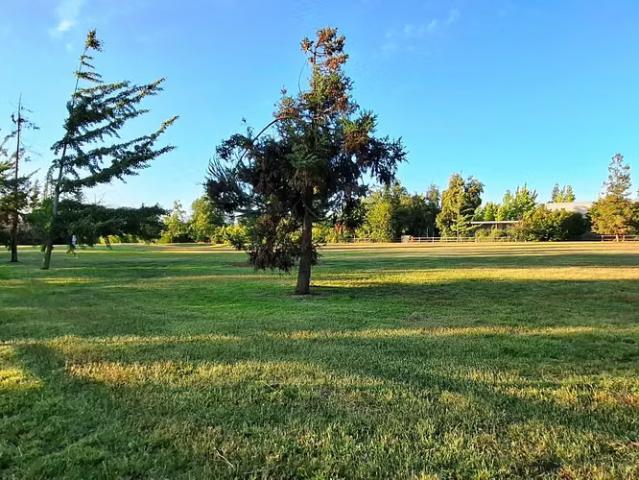 Terreno en venta en Los Lirios, Requínoa