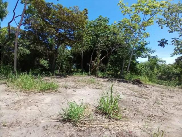 Terreno venta en San Carlos, David