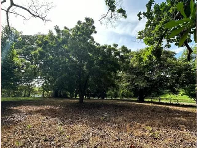 Terreno venta en San Carlos, David