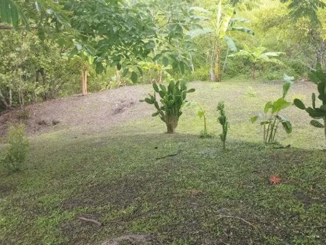 Terreno venta en San Carlos, David