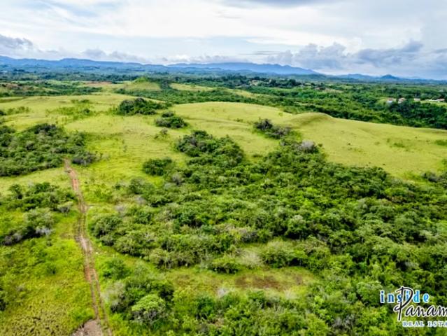 Terreno venta en San Carlos, David
