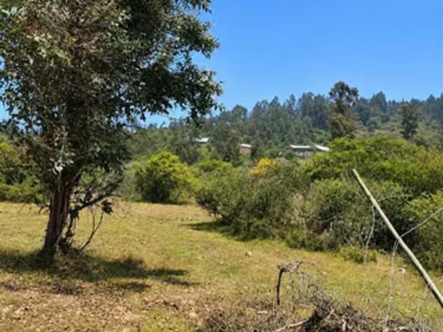 Terreno en venta en Huencuecho Sur, Pelarco