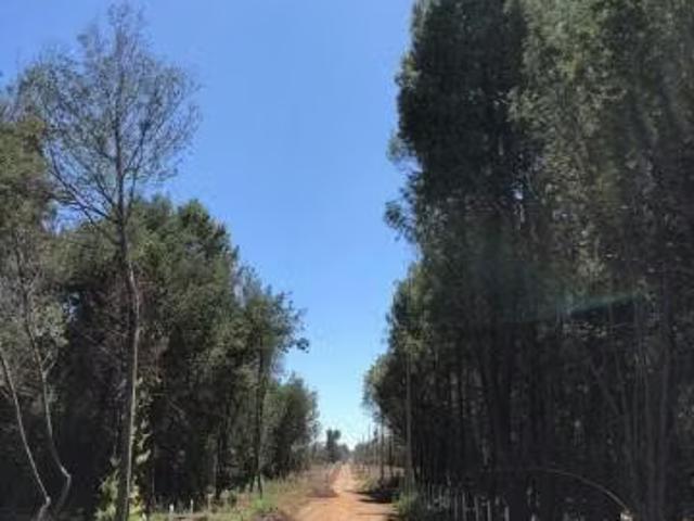 Terreno en venta en San Ignacio, Provincia de Diguillín