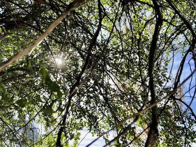 Terreno en venta en San Gabriel, San José de Maipo
