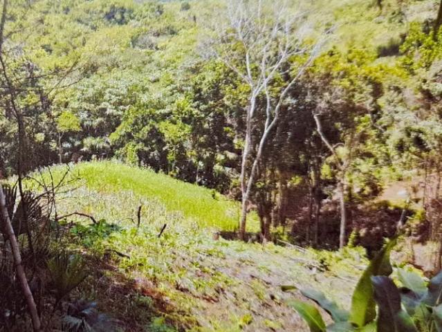Terreno venta en San Juan, Colón