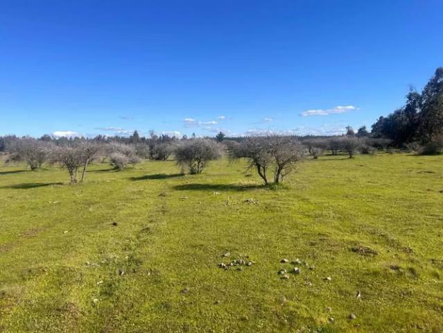 Terreno en venta en Ñuble
