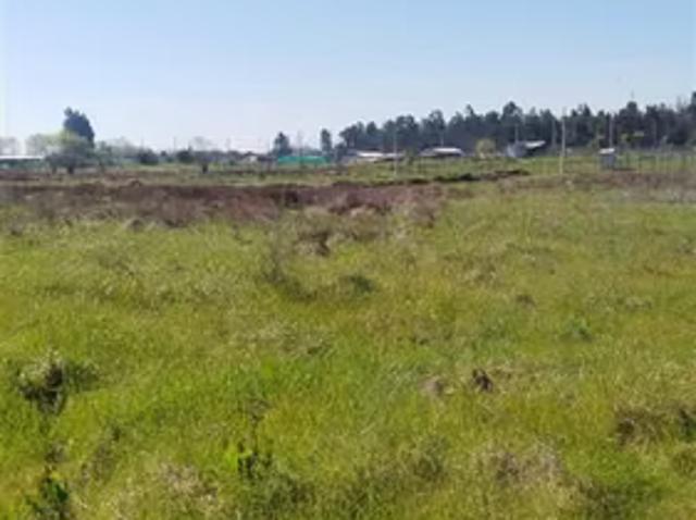 Terreno en venta en Pangue Abajo, San Rafael