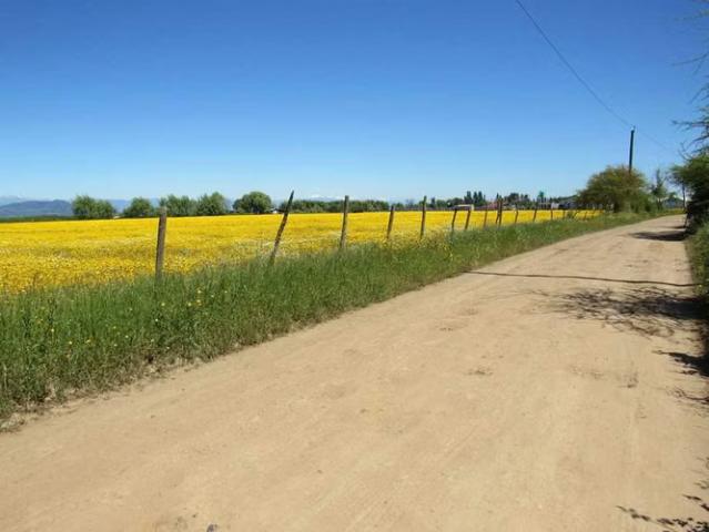 Terreno en venta en Pangue Abajo Oriente, San Rafael