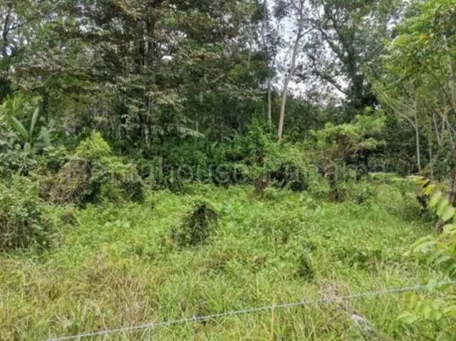 Terreno venta en Viento Frío, Santa Isabel