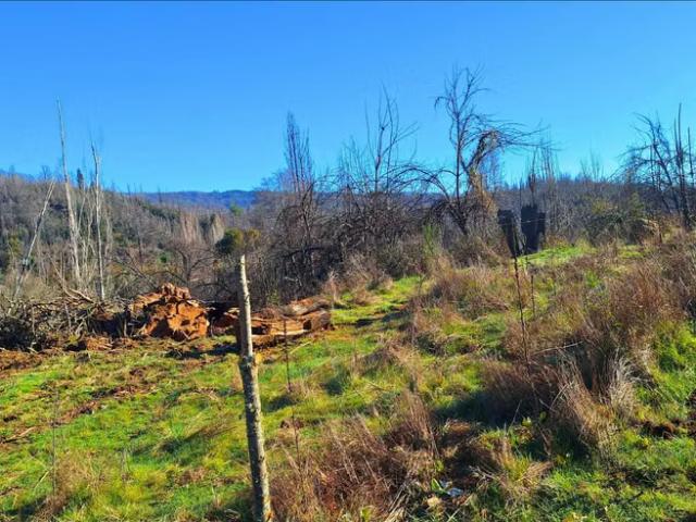 Terreno en venta en Santa Juana, Provincia de Concepción