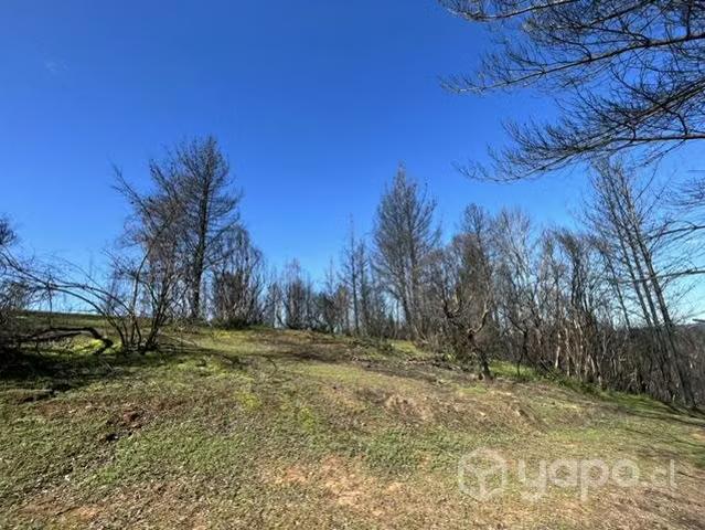Terreno en venta en Santa Juana, Provincia de Concepción