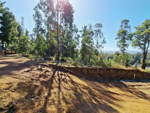 Terreno en venta en Pumapo, Santa Juana