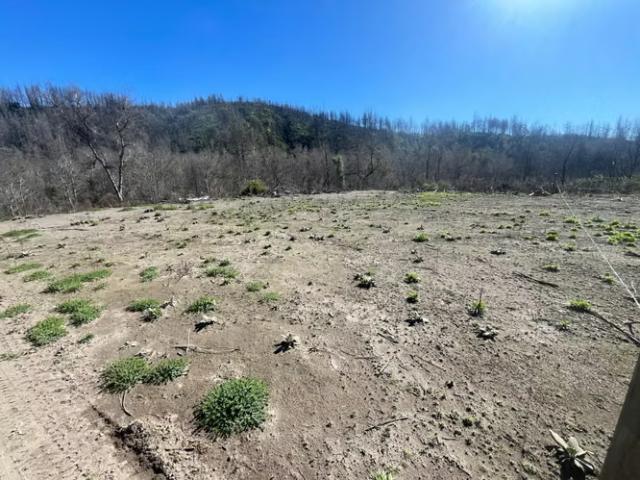 Terreno en venta en Nacimiento, Biobío
