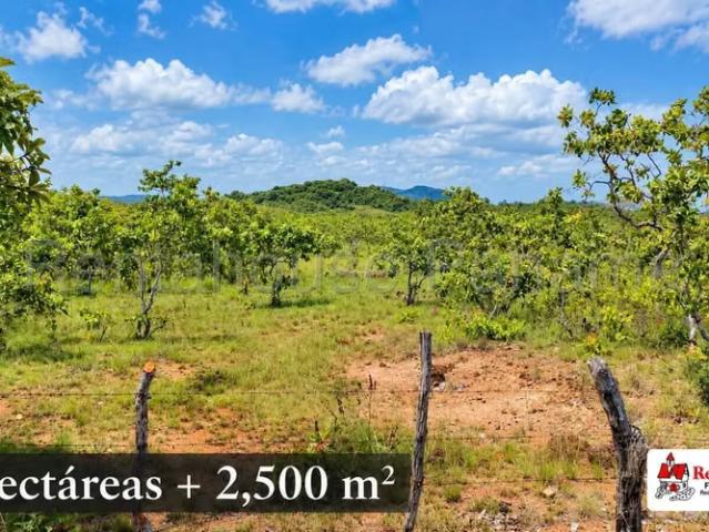 Terreno venta en Santa Monica, Santiago