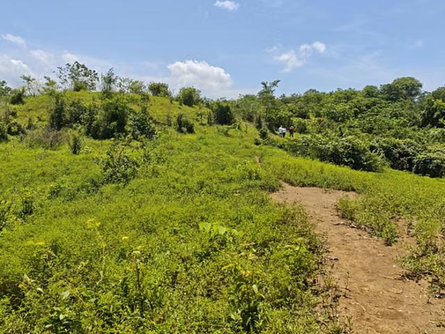 Terreno venta en Soná