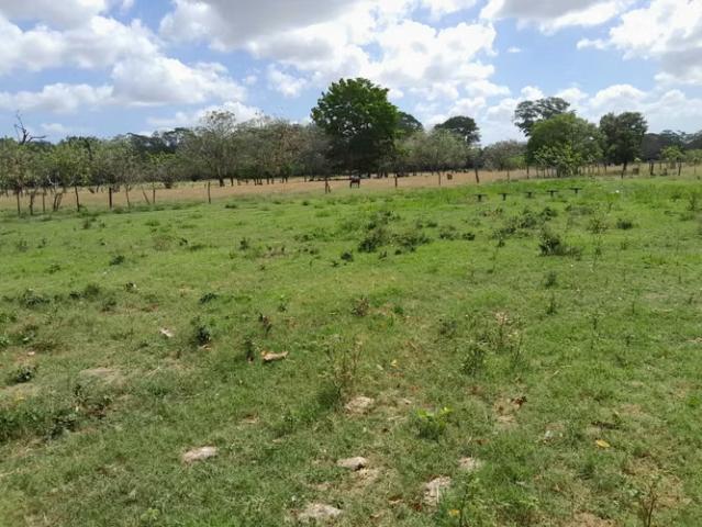 Terreno venta en Tonosí, Los Santos
