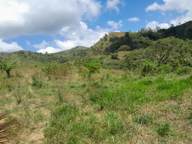 Terreno venta en Tonosí, Los Santos
