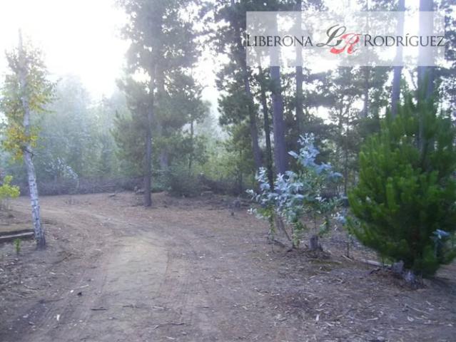 Terreno en venta en Curaumilla, Valparaíso