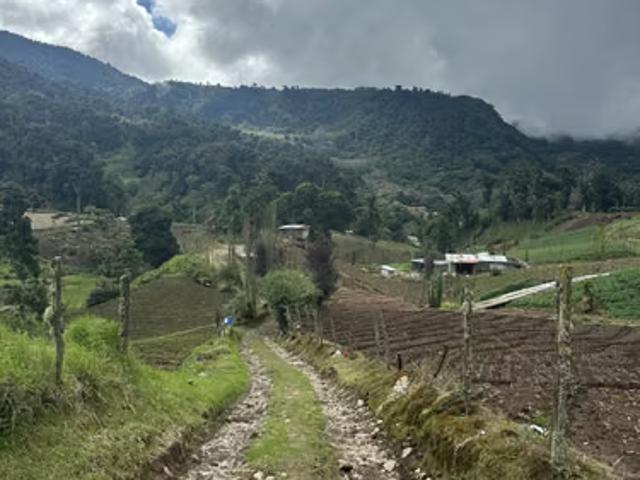 Terreno venta en Chiriquí, David
