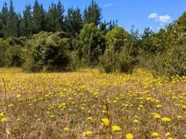 Terreno en venta en Ñiquén, Provincia de Punilla