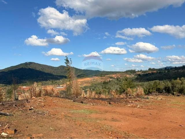 Terreno en venta en Florida, Biobío