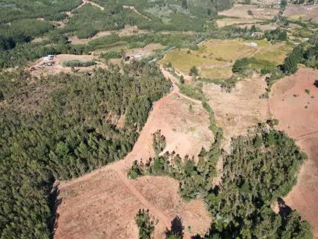 Terreno en venta en Florida, Biobío