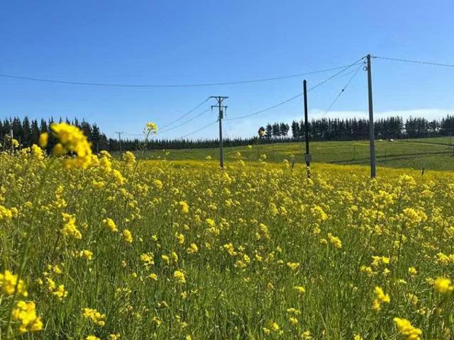 Terreno en venta en Florida, Biobío
