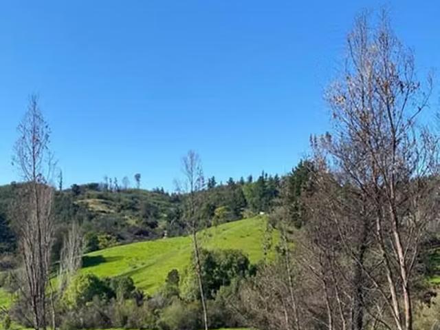 Terreno en venta en Florida, Biobío