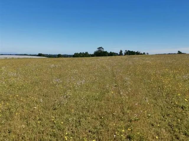 Terreno en venta en Frutillar, Los Lagos