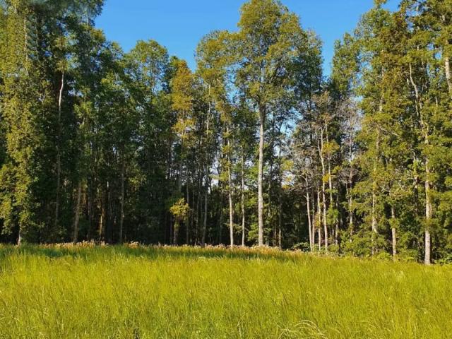 Terreno en venta en Frutillar, Los Lagos