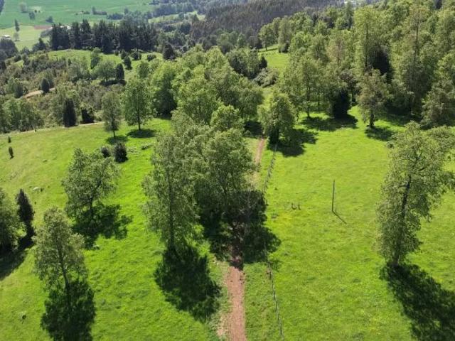 Terreno en venta en Futrono, Los Ríos