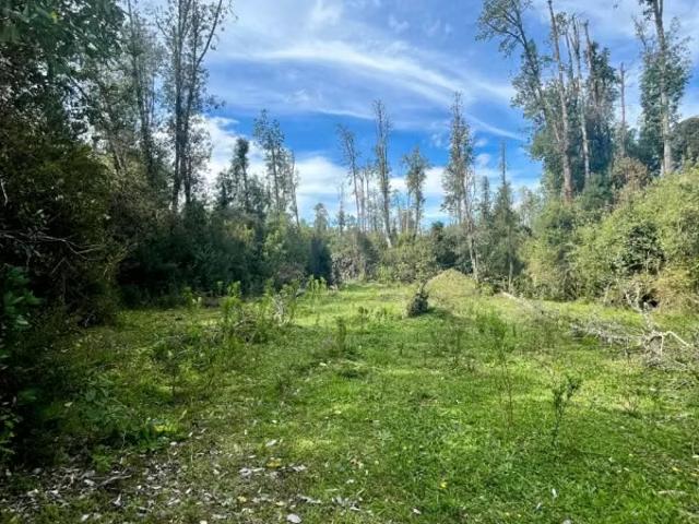 Terreno en venta en Futrono, Los Ríos
